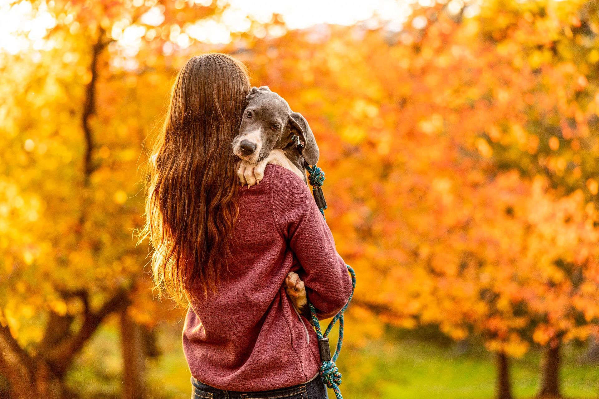 Pet and owner portrait showing their bond